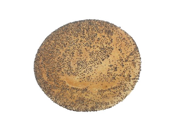 Wit krokant maanzaadbol